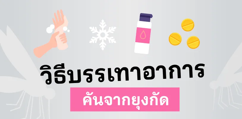 ยุงกัดเป็นผื่นแดง เกิดจากอะไร 04 Article